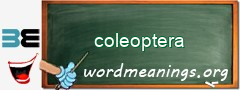 WordMeaning blackboard for coleoptera